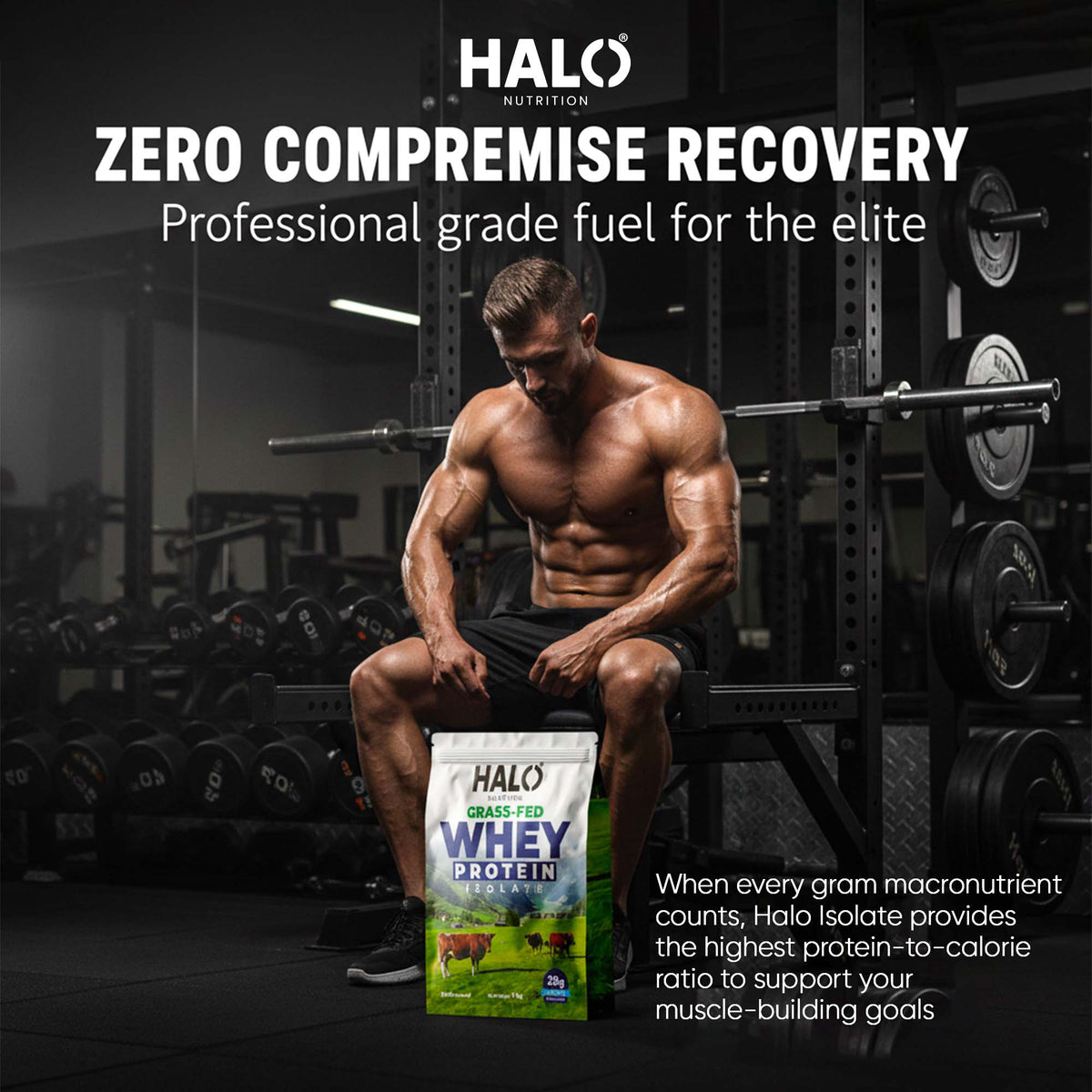 grass-fed whey protein isolate