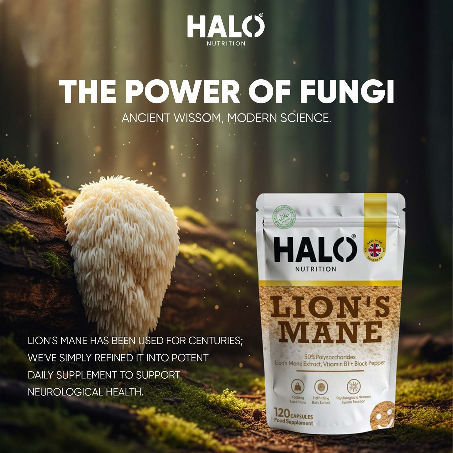halo nutrition - lions mane mushroom extract capsules 10,000mg 240mg polysaccharides strong vegan