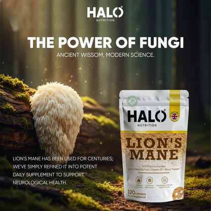 Halo Nutrition - Lions Mane Mushroom Extract Capsules 10,000mg 240mg Polysaccharides Strong Vegan