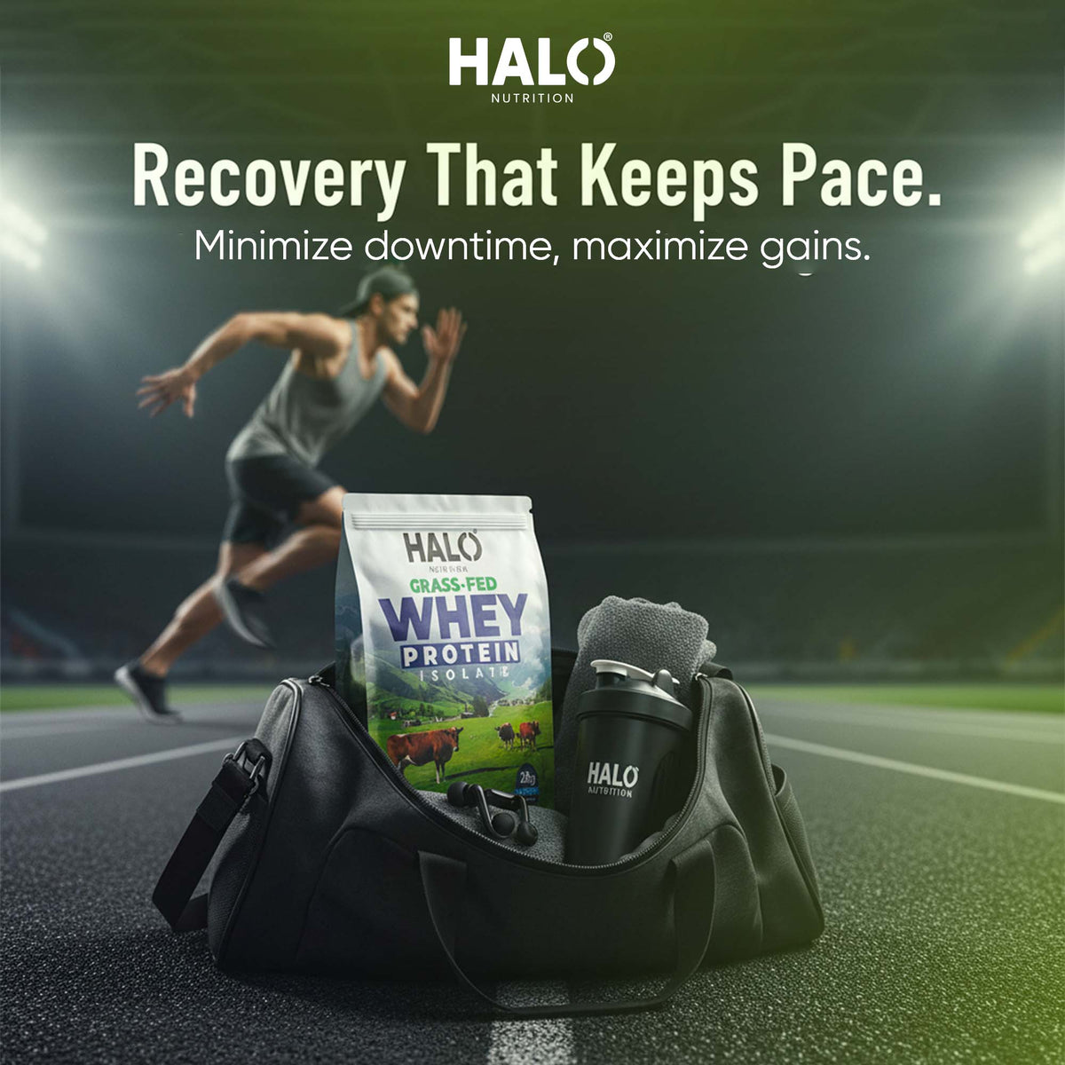 grass-fed whey protein isolate