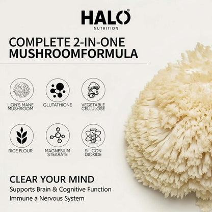 Halo Nutrition - Lions Mane Mushroom Extract Capsules 10,000mg 240mg Polysaccharides Strong Vegan