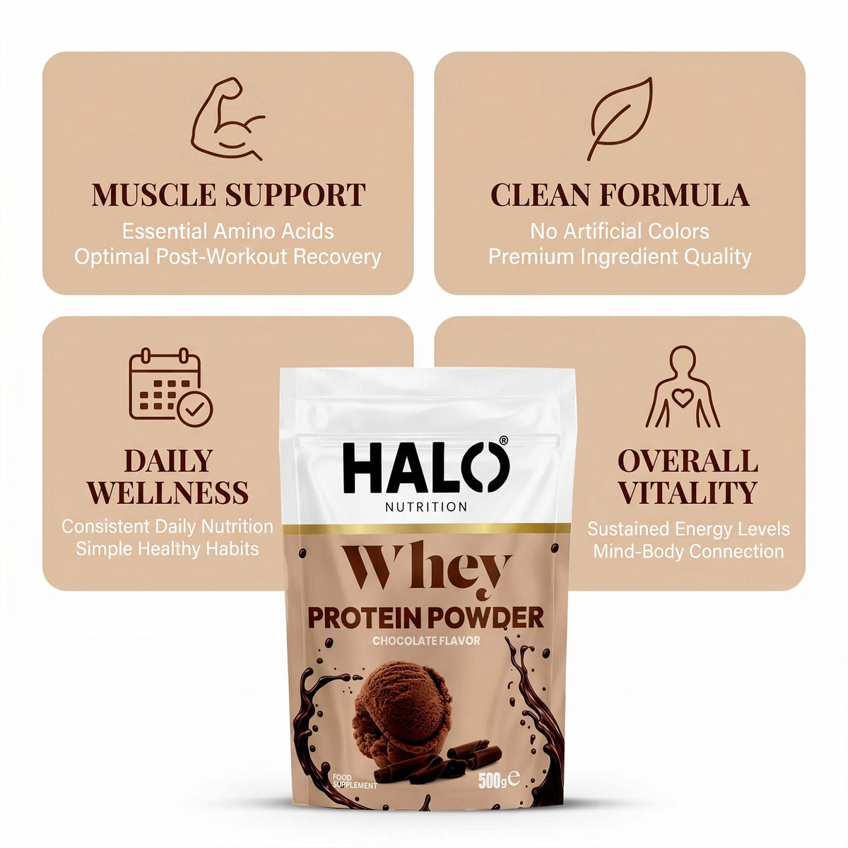 protein chocolate flavor
