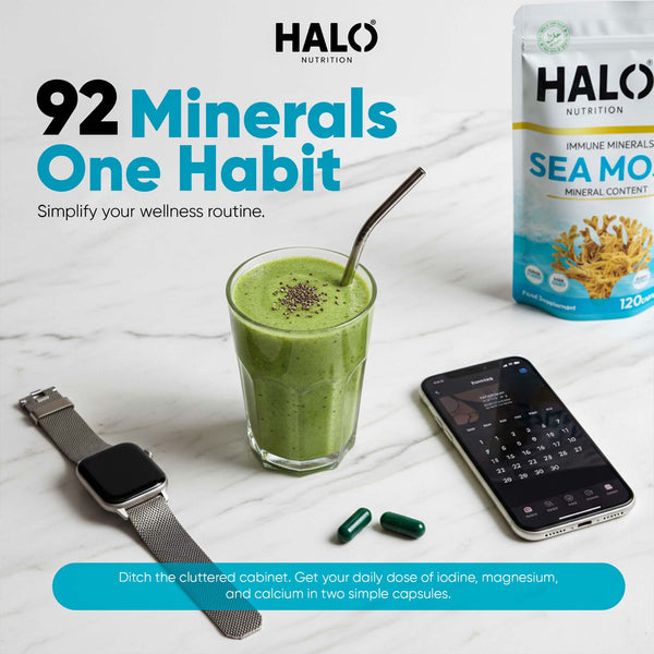 Everyday Nutrition
