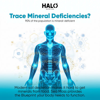 Halo Nutrition - Sea Moss