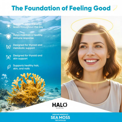 Halo Nutrition - Sea Moss