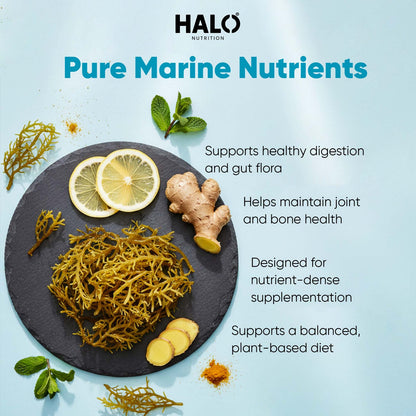 Halo Nutrition - Sea Moss
